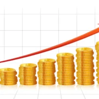 Smart Money Moves from South African Celebrities
