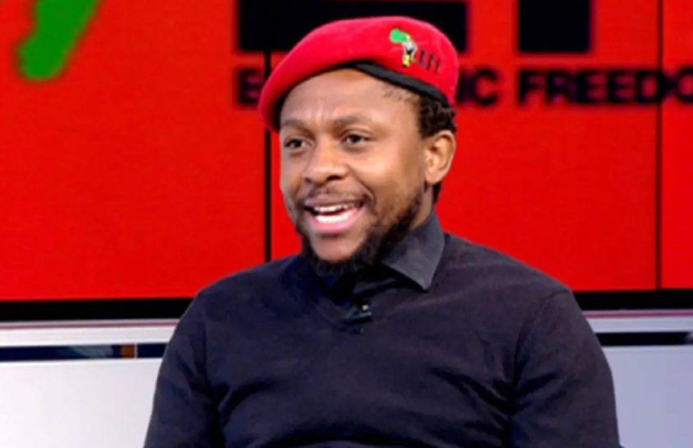 Mbuyiseni Ndlozi Net Worth
